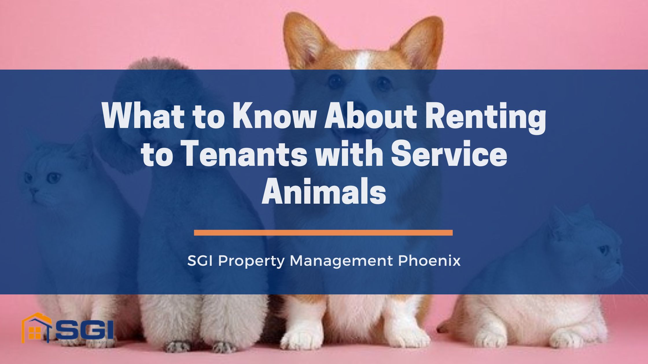 Property Management Blog